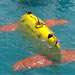 Autonomous Underwater Vehicles (AUVs)