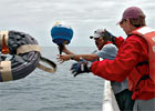 Facts about WHOI