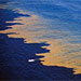 Coastal Studies