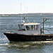 24' Mytilus