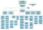 Organizational Chart