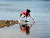 Katrina Edwards collects water samples from Salt Pond in Falmouth, MA