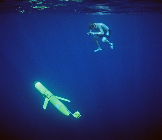 ascending glider at sea