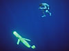 ascending glider at sea