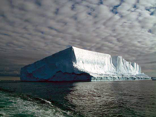 bay of whales