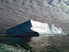 bay of whales