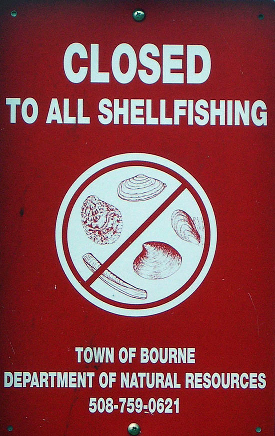 Shellfish harvesting closure sign, Bourne, MA. 
