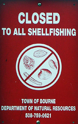 Shellfish harvesting closure sign, Bourne, MA. 