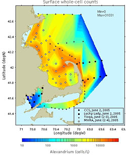 Surface whole-cell hybridization counts of Alexandrium fundyense