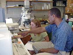 biological, biomedical, and environmental research