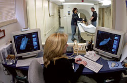 small whale is scanned in the CT facility