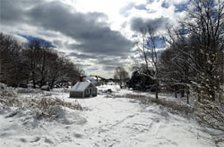 wintertime on campus