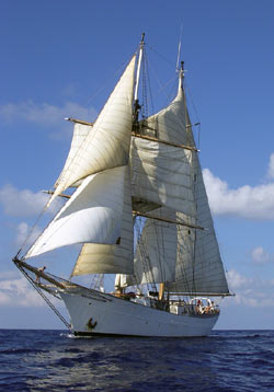 The SSV Corwith Cramer under full sail.