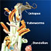 dive and discover vent bioilogy interactive
