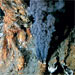 Hydrothermal Vent Systems
