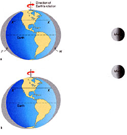 gravitational attarction between Earth and the moon