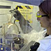 Medical & Safety Services