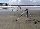 [Gallery Photo]