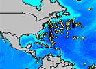 WHOI Buoy Group Oceanic Data Archive