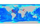 Seafloor Sediments Data Collection