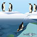Polar Ecosystems