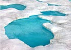 WHOI Arctic Group