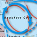 Polar Ocean Circulation