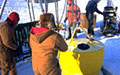 Ice-Ocean Environmental Buoy Program