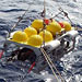 Ocean-Bottom Seismometer