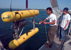 Autonomous Underwater Vehicles