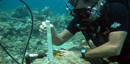 WHOI scientist Pat Lohmann removes a core drilled from a living coral during a recent field expedition to Palau, a remote coral reef archipelago in the far western Pacific.
