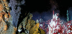 Deep Ocean Exploration Institute