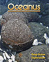 DOEI and Oceanus