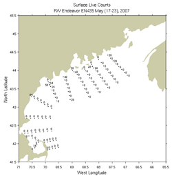 cell count map