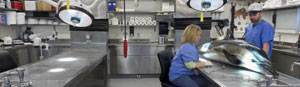Facilities and Services