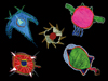 drawings of imaginary microbes by schoolkids