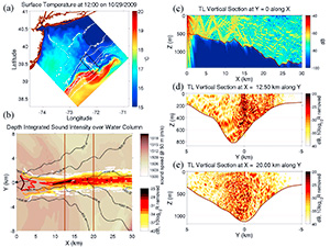 Results of Ying-Tsong Lin’s research