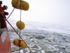 ice poles deflecting ice floes