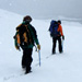 Following the Ice