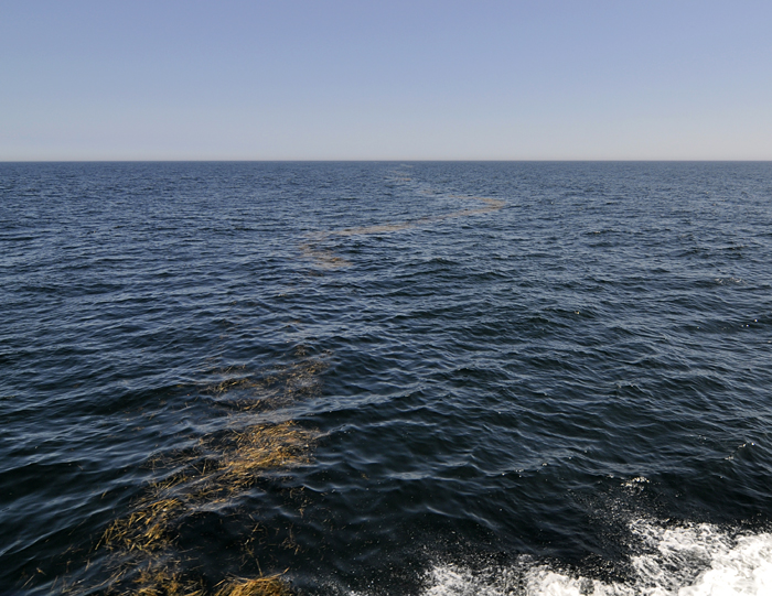 Ocean frontal boundary