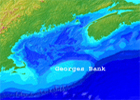 Georges Bank