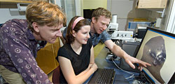Geology & Geophysics (G&G)