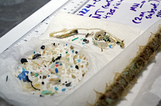 open ocean plastics