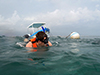 Paul Henderson snorkels to look for corals