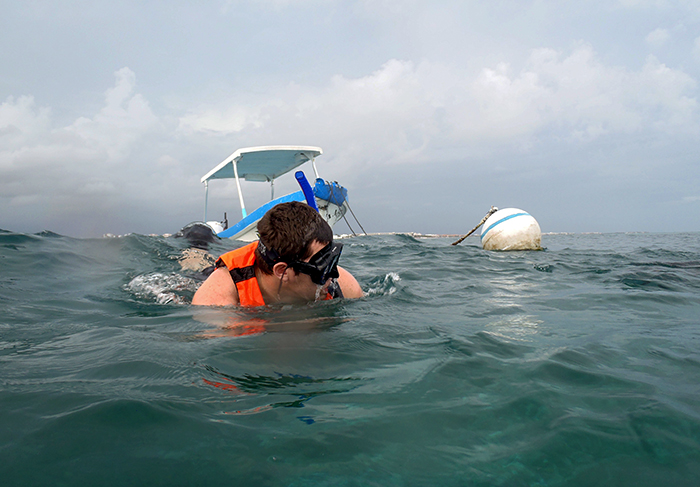 Paul Henderson snorkels to look for corals
