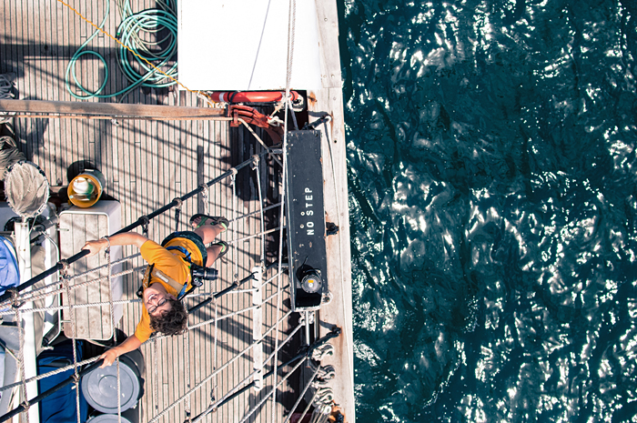 Peirson Summer Cruise