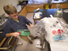 carl lamborg in lab