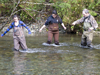 Citizen river scientists