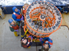 Ocean acidification team