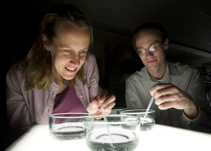 Ann Tarrant and Adam Reitzel